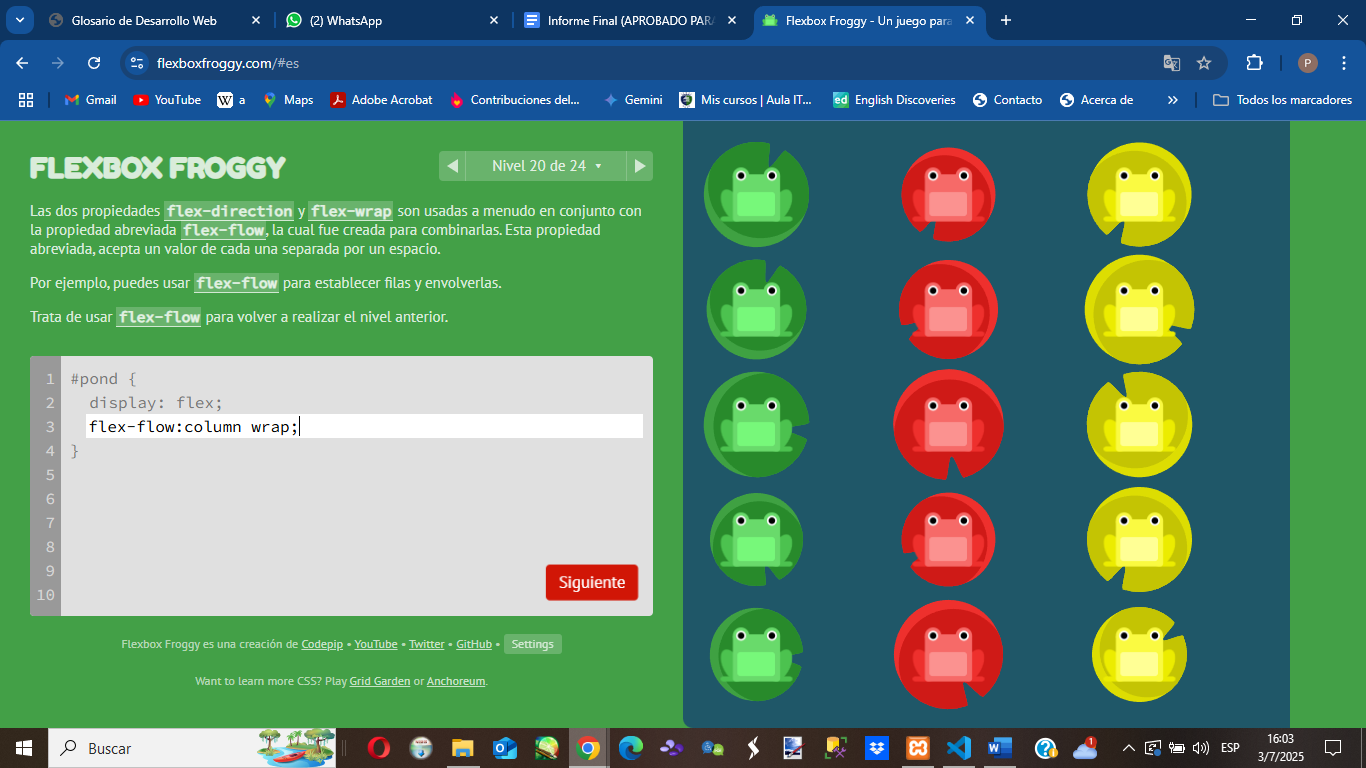 Nivel 20